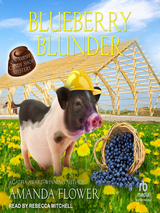 Cover image for Blueberry Blunder